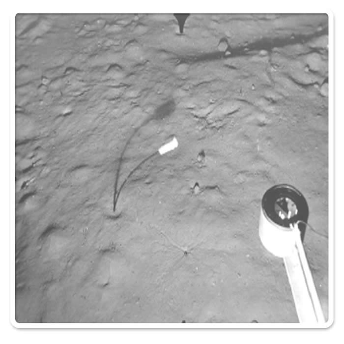 Seabed photograph from the Hebrides Slope (DTI License Block 154/1) at 1295 m. In the foreground there is a stalked glass sponge, Hyalonema sp and also traces of Lebensspuren with small 'volcano' mounds and the radial marks around the burrow opening in the foreground caused by feeding and burrowing activity of relatively large animals (� John Gage, 2001)