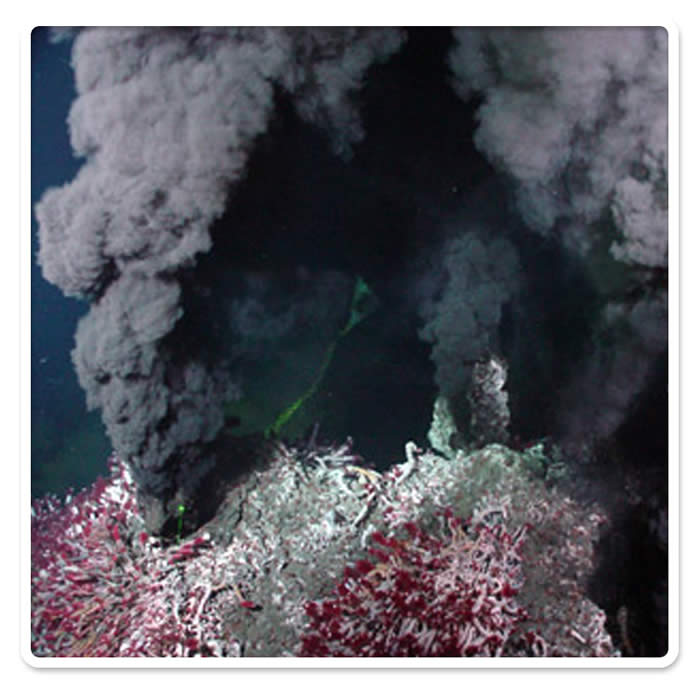 This vigorously venting black smoker, called Sully, emits jets of particle-laden fluids that create the